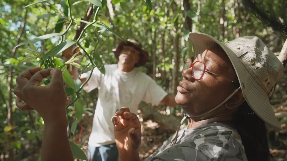 Natacha- Graines-Doclancd_1.png